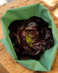 roter Kopfsalat in einem Zero Waste-Beutel aus grünem PEVA-Material