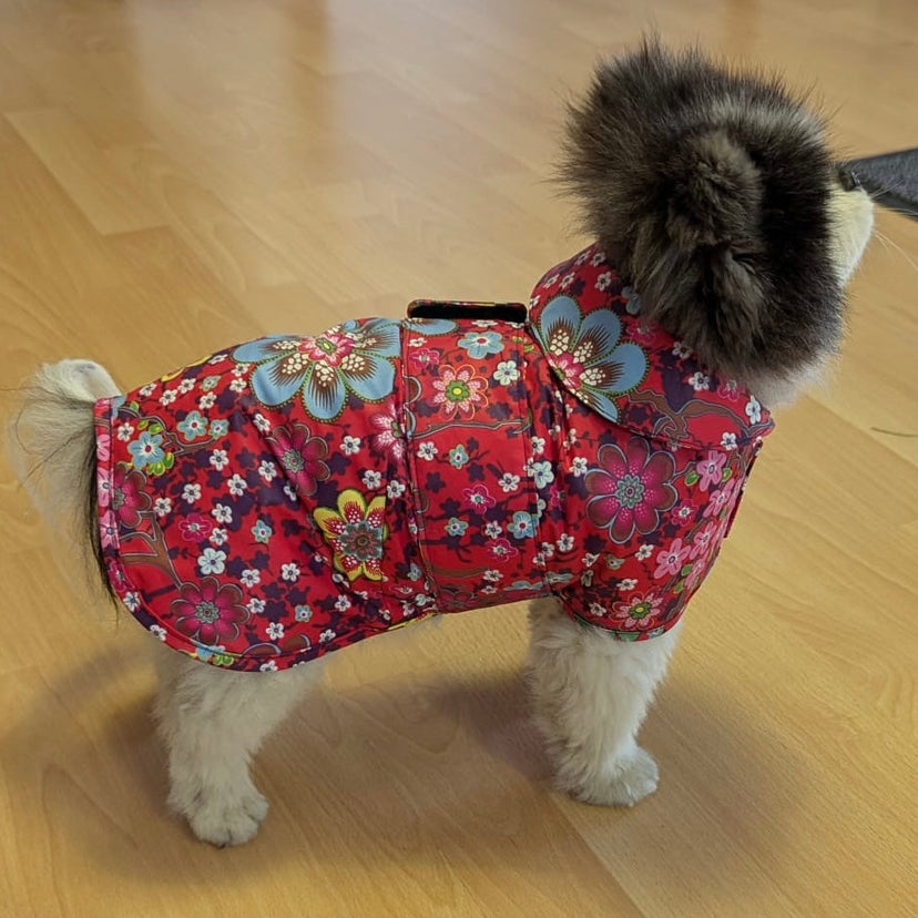 Ein kleiner flauschiger Hund trägt einen massgeschneiderten Regenmantel aus geblümtem Material